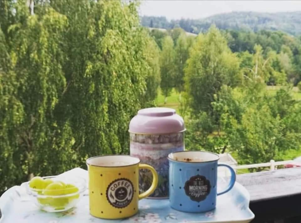 Pensiunea Gradina Ascunsa Bughea de Jos Kültér fotó
