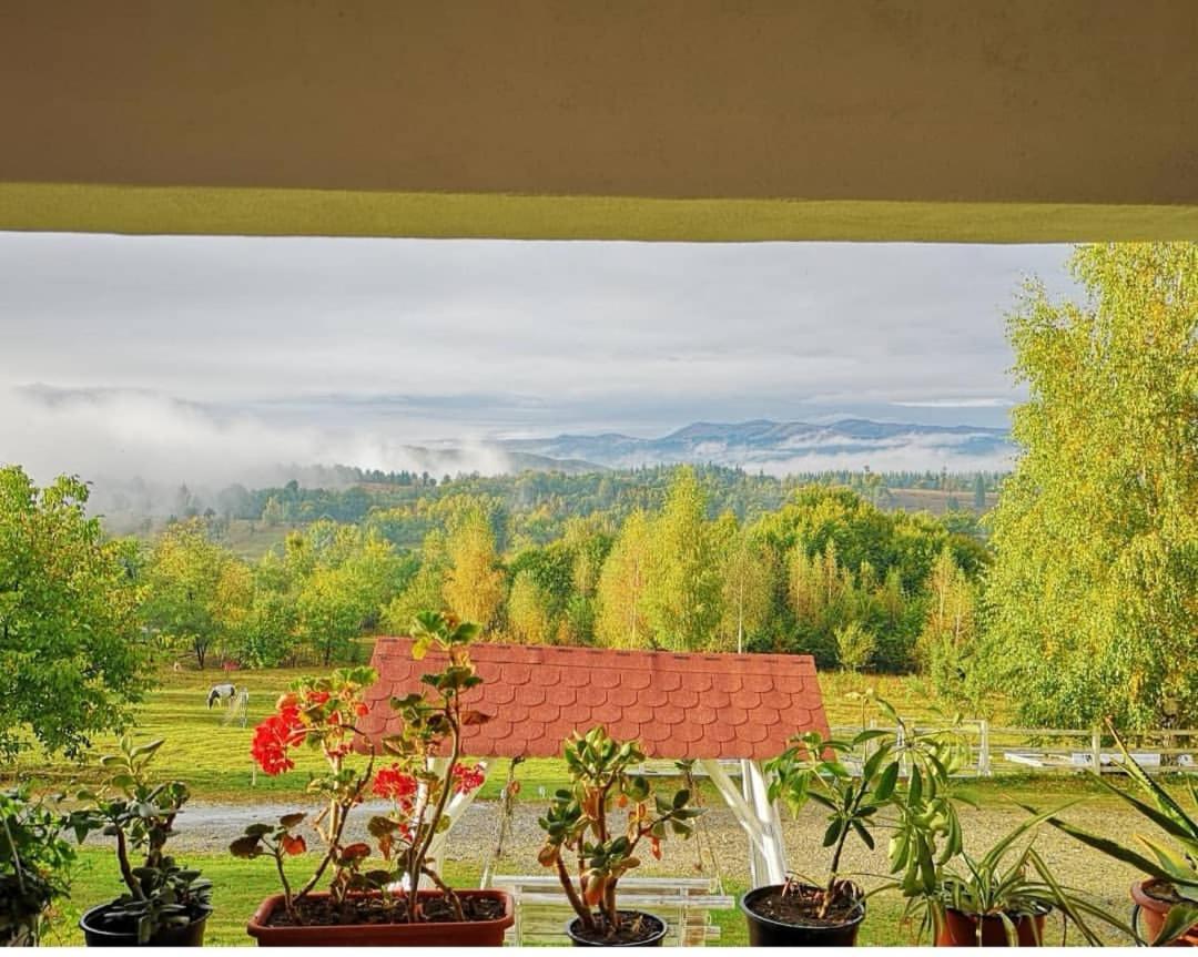 Pensiunea Gradina Ascunsa Bughea de Jos Kültér fotó